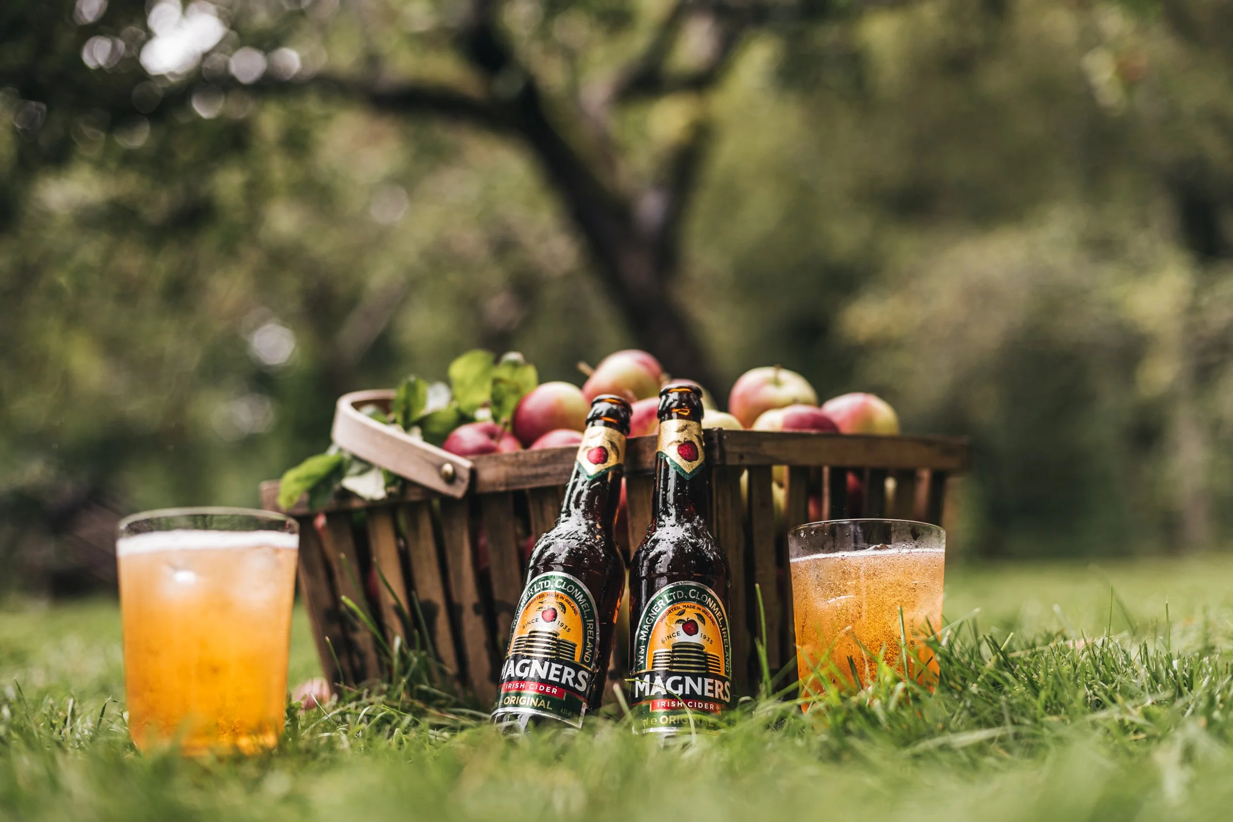 Magners orchard in Clonmel