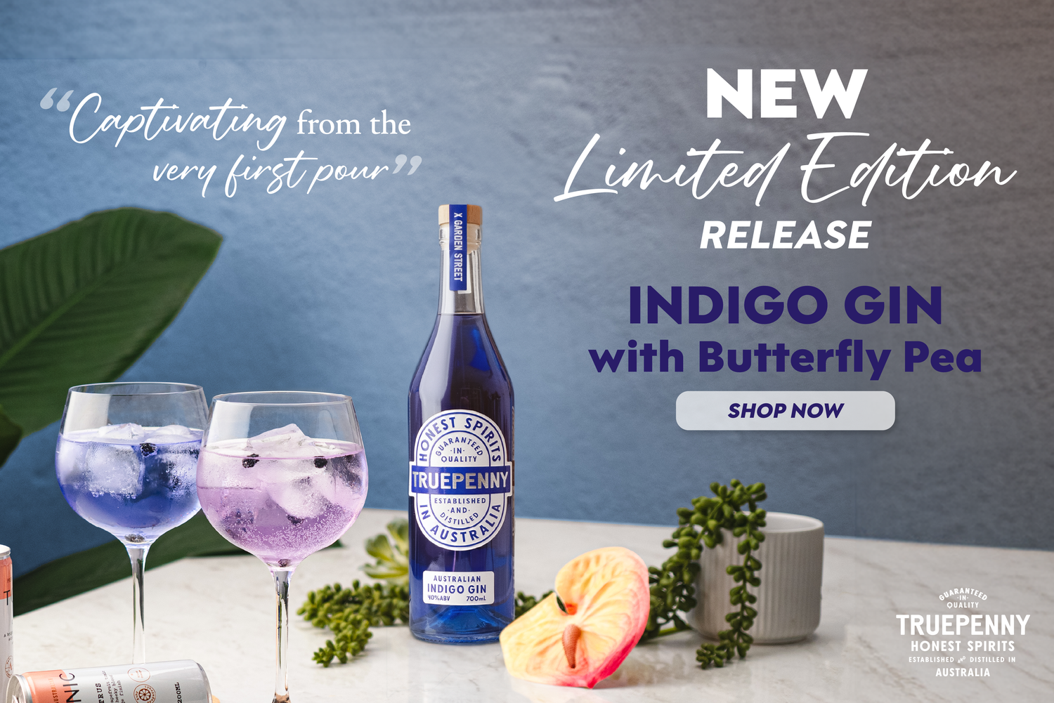Truepenny Indigo Gin served with tonic