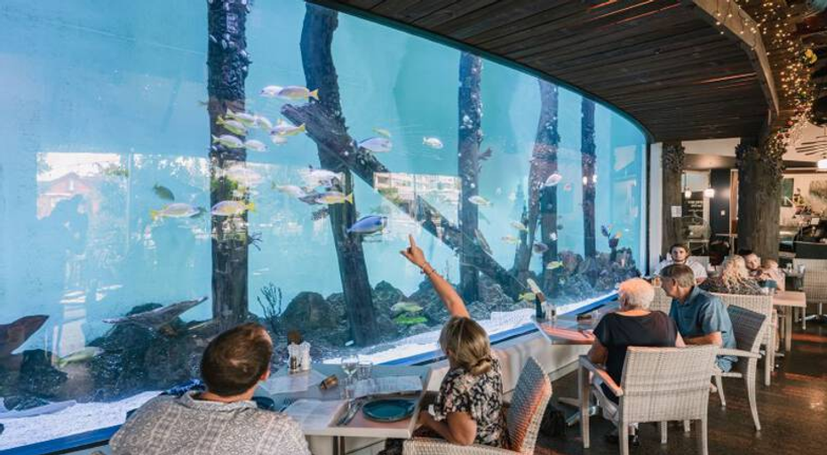 Cairns Aquarium at Twilight with 3 Course Dinner