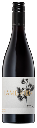 Lambrook Plant Pinot Noir 750ml