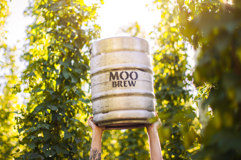 Moo Brew Pale Ale 49.5Lt