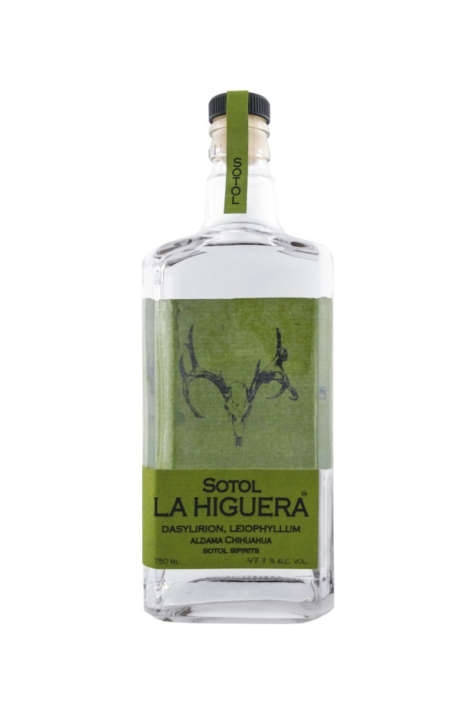 Agave Lux Sotol La Higuera Leiophillum