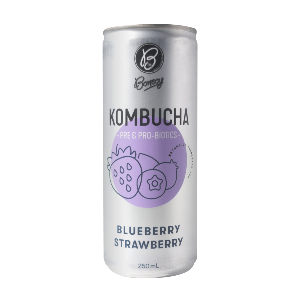 Bonsoy Blueberry Strawberry Kombucha 250ml