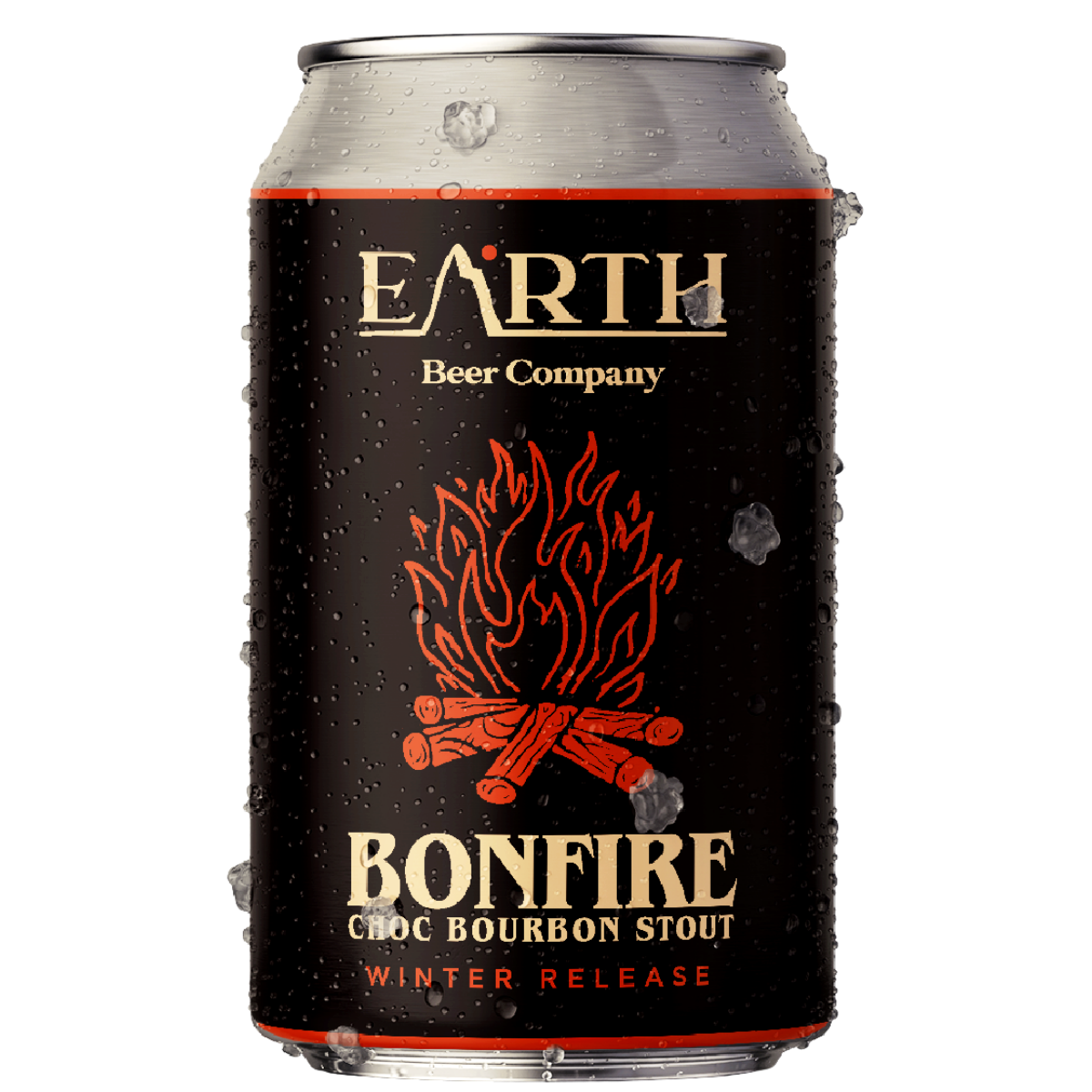 Earth Beer Company Bonfire Stout 375mL x 16PK 6000ML