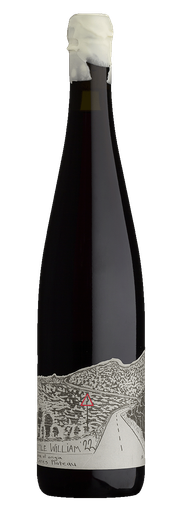 Blank Bottle Little William Syrah 2022 750ml