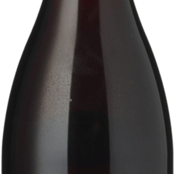Pressing Matters Pinot Noir 2022 750ml